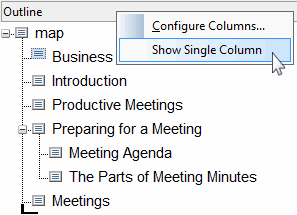 This graphic shows the Column view title bar shortcut menu.