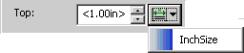 This is an image of the Top field with the InchSize Size listed in the Size definition list activated for the measurement, and the measurement <1.00in> shown in the field