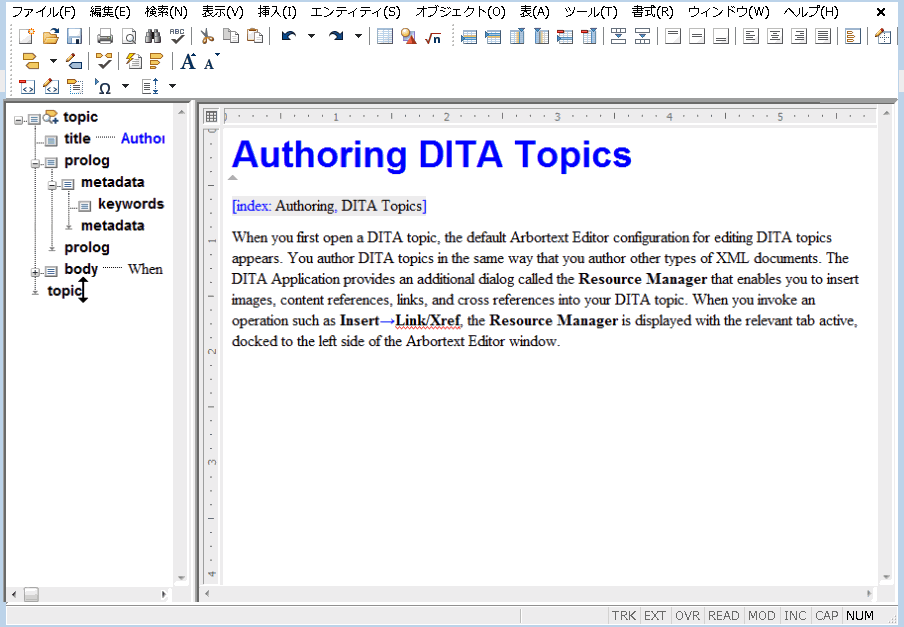 これは、DITA トピックを編集するためのデフォルトの設定が行われたユーザーインタフェースの画像です。