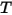 Boundary Temperature