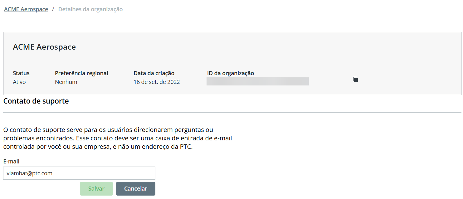 Página Detalhes da Organização mostrando o campo E-mail com um endereço de e-mail e o botão Salvar ativados.