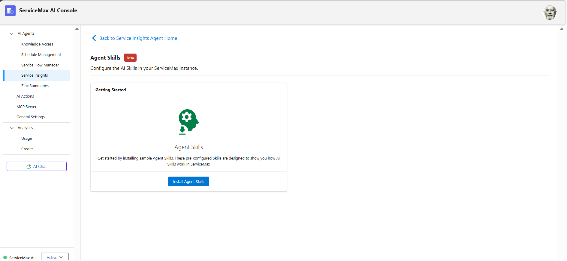 Installing Agent Skills