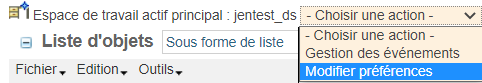 Espace de travail : modifier préférences