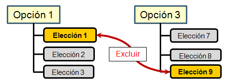 Definicion De Las Reglas Globales De Opciones Y Elecciones