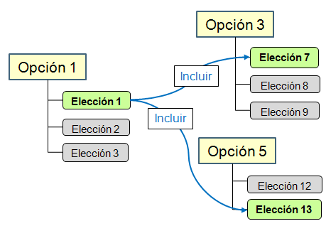 Definicion De Las Reglas Globales De Opciones Y Elecciones